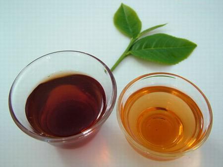 教您五个要点辨别普洱茶的优劣