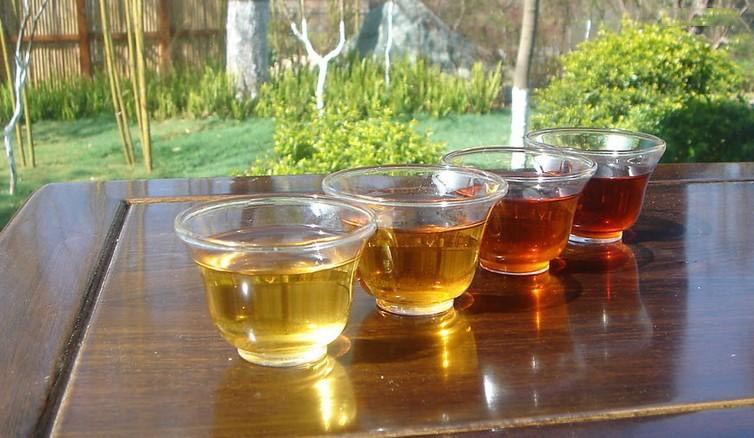 普洱茶是在哪里产生并在哪里生根展开